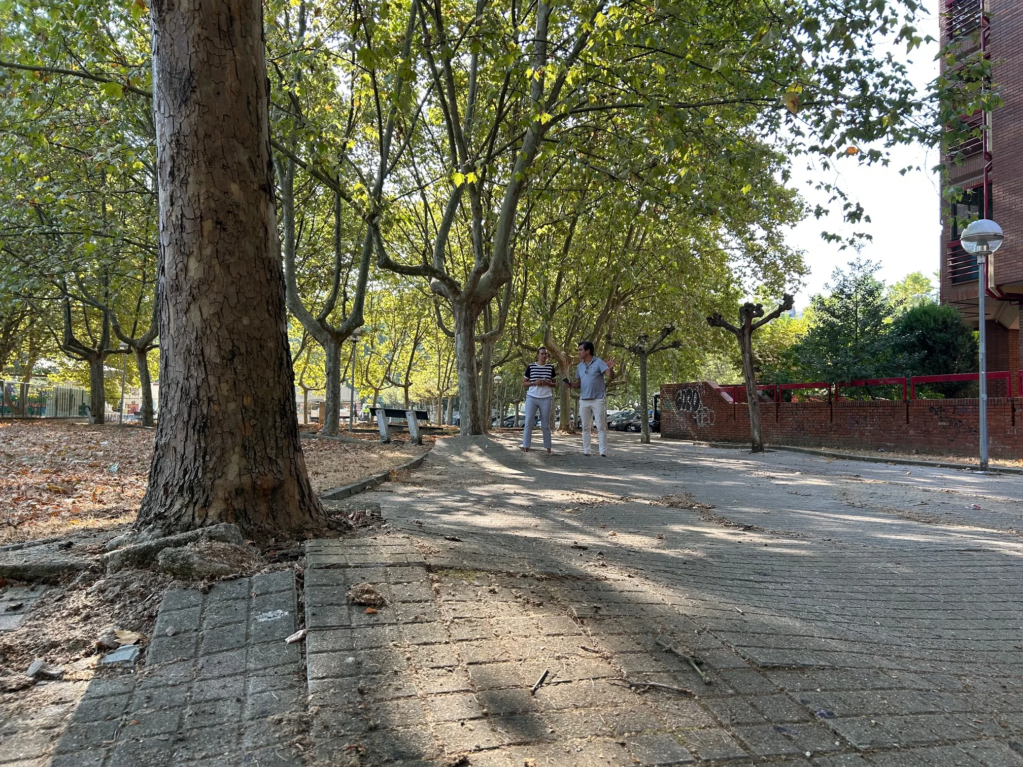 Se inician las obras de reparación de aceras en el entorno del Colegio Infantil Peñalba