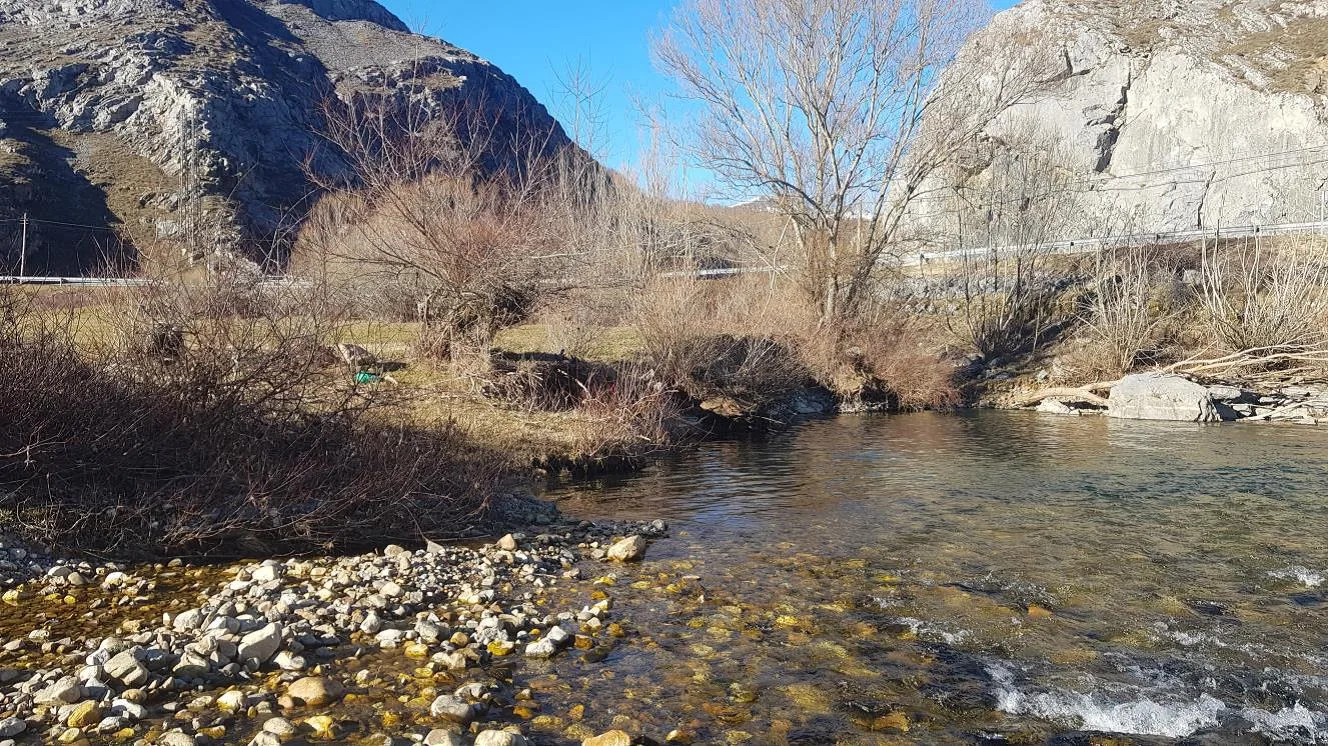 La Diputación licita el acondicionamiento de las márgenes del Esla y el arroyo Mirva en Burón