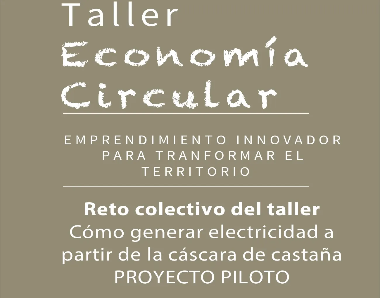 Taller sobre energía sostenible: cómo generar electricidad a partir de la cáscara de castaña