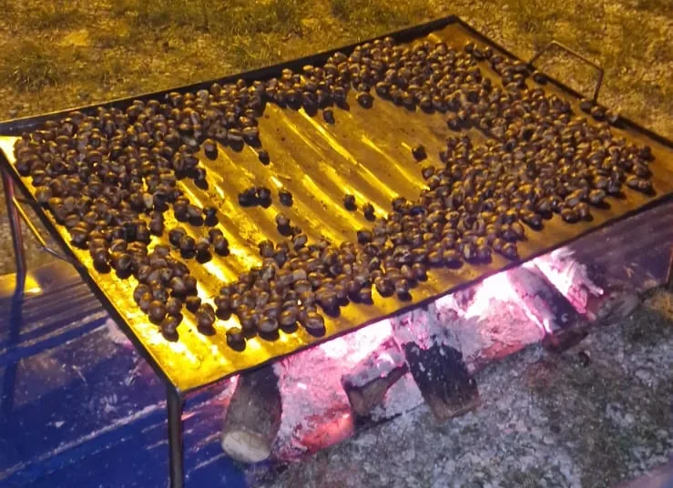 Espinoso de Compludo celebra este sábado 15 de noviembre su magosto