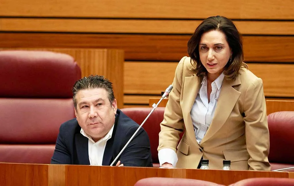 UPL expone en las Cortes la “alarmante” situación de diversas zonas del Bierzo y La Cabrera en cuanto a conectividad e internet a buena velocidad