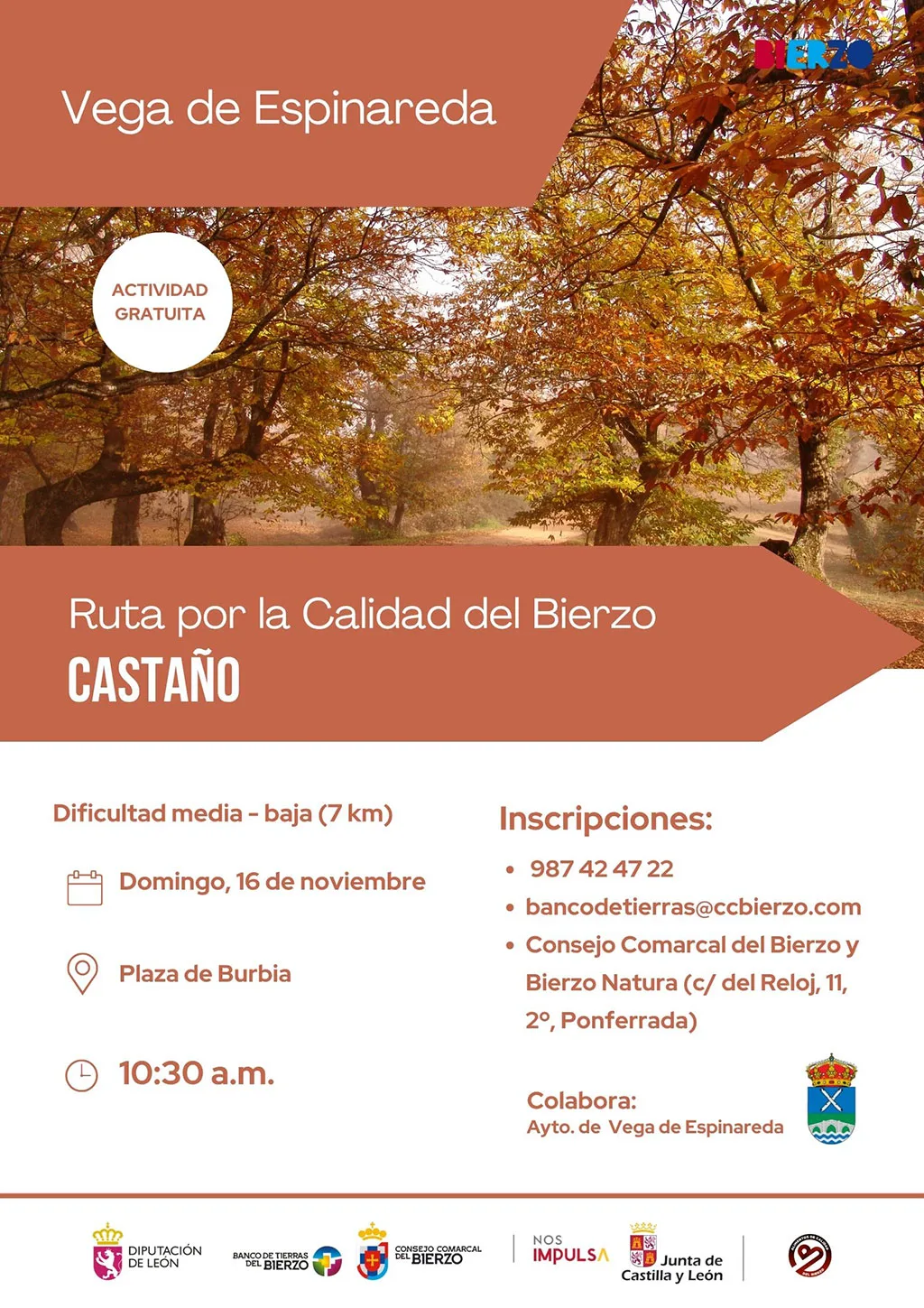 El castaño y el botillo protagonizan las próximas 'Rutas por la Calidad del Bierzo' del Consejo Comarcal