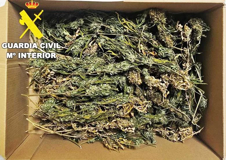 Investigan a un varón de 33 años tras ser interceptado con cerca de 500 gramos de marihuana en Toral de los Vados