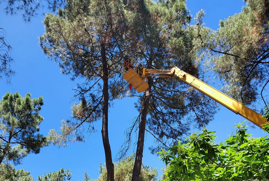 El PCE cifra en 1,2 millones de euros el sobrecoste de la externalización de varios servicios en Ponferrada