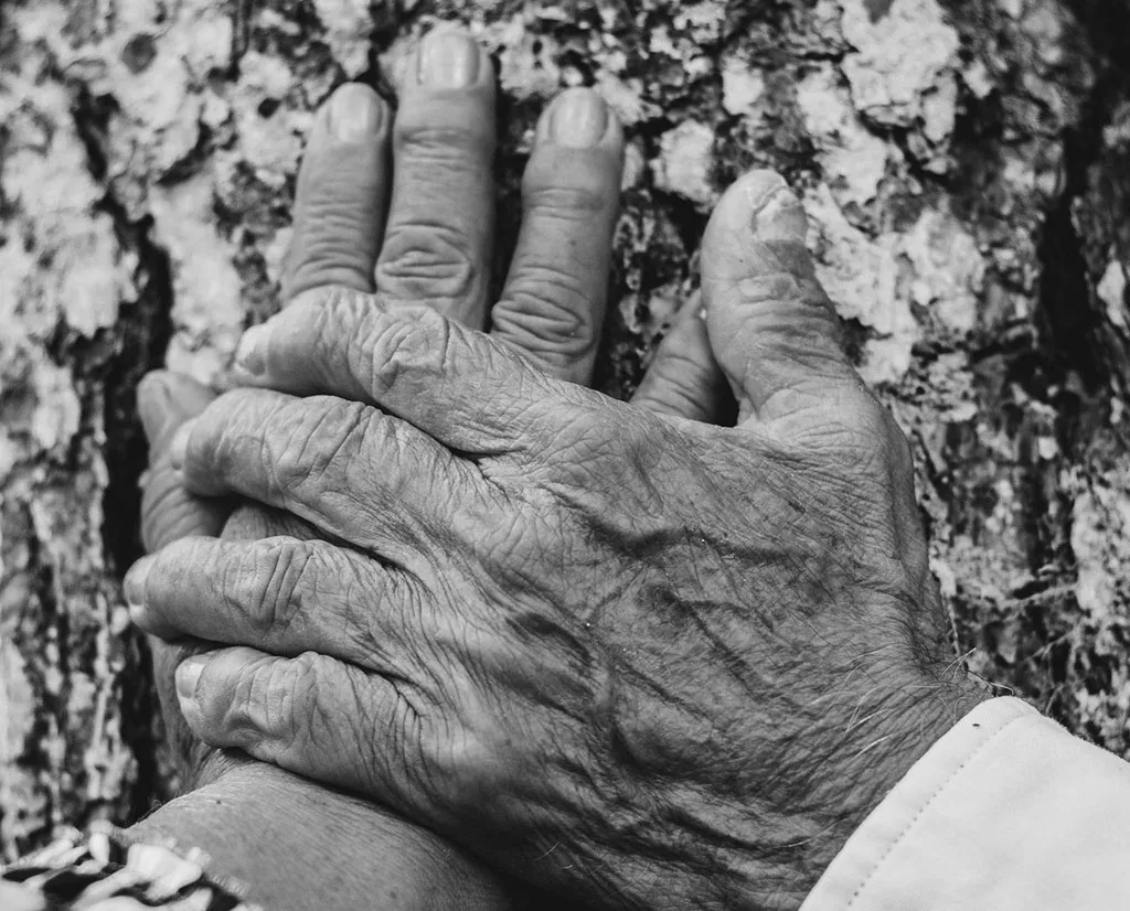 El envejecimiento acumulado y su impacto directo sobre la sostenibilidad del sistema de cuidados