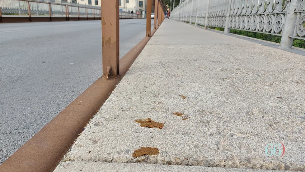 El PSOE de Ponferrada denuncia un “deterioro evidente” en la limpieza de excrementos de mascotas y reclama medidas urgentes