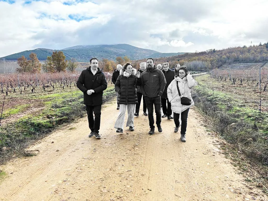 Finalizan las obras de la concentración parcelaria de Castropodame tras una inversión de 7,5 millones con 218 km de caminos