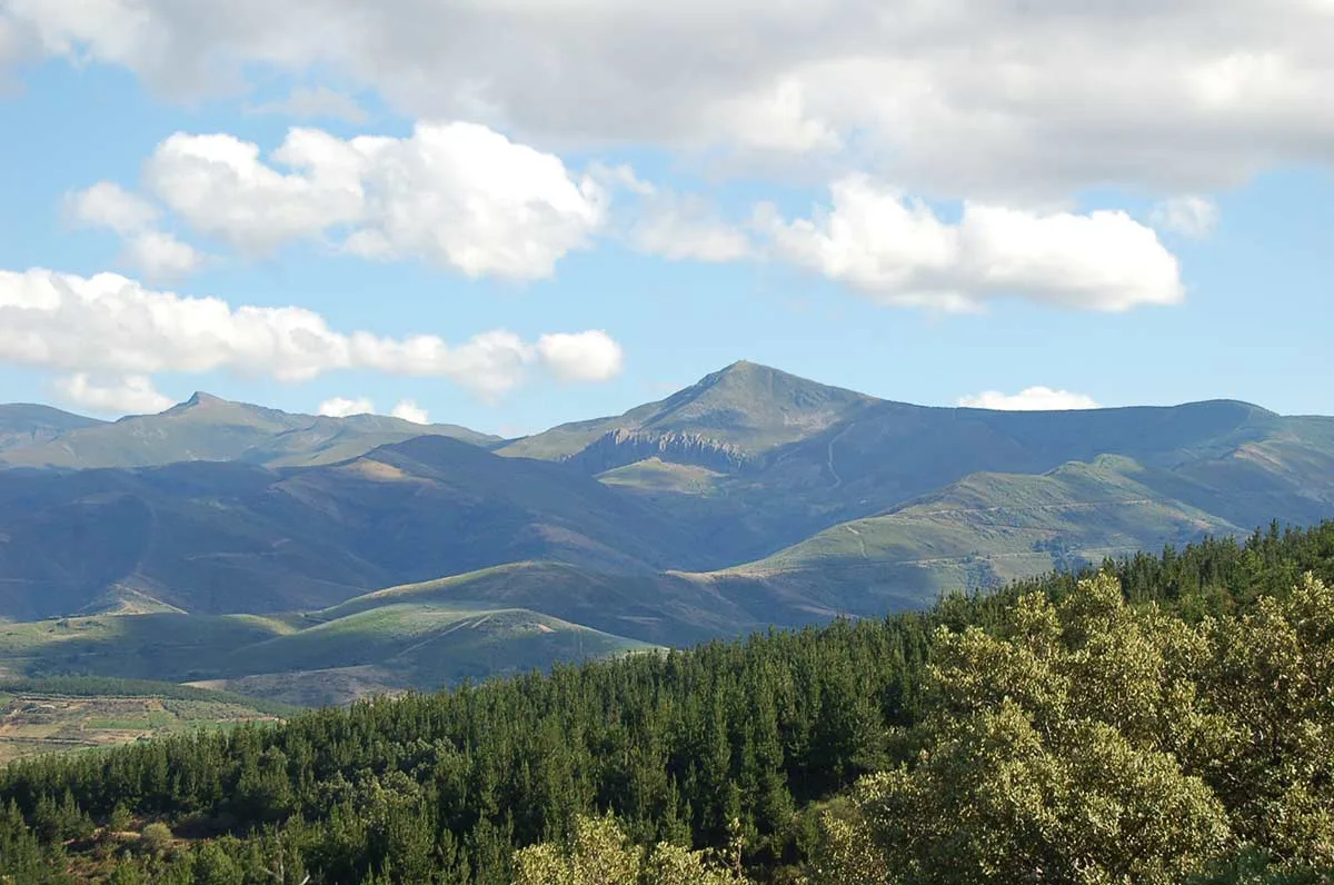 La Junta destina 1,12 millones a Diputación, Consejo Comarcal y Ayuntamiento de Ponferrada para contratar desempleados en labores de control y limpieza de la vegetación en entornos rurales