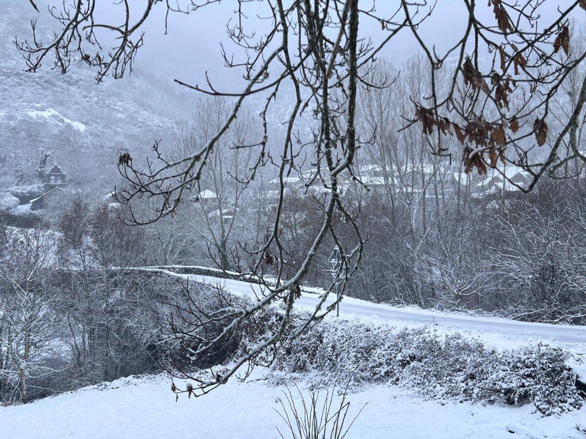 Vista invernal de Fornela cubierta de nieve y árboles desnudos