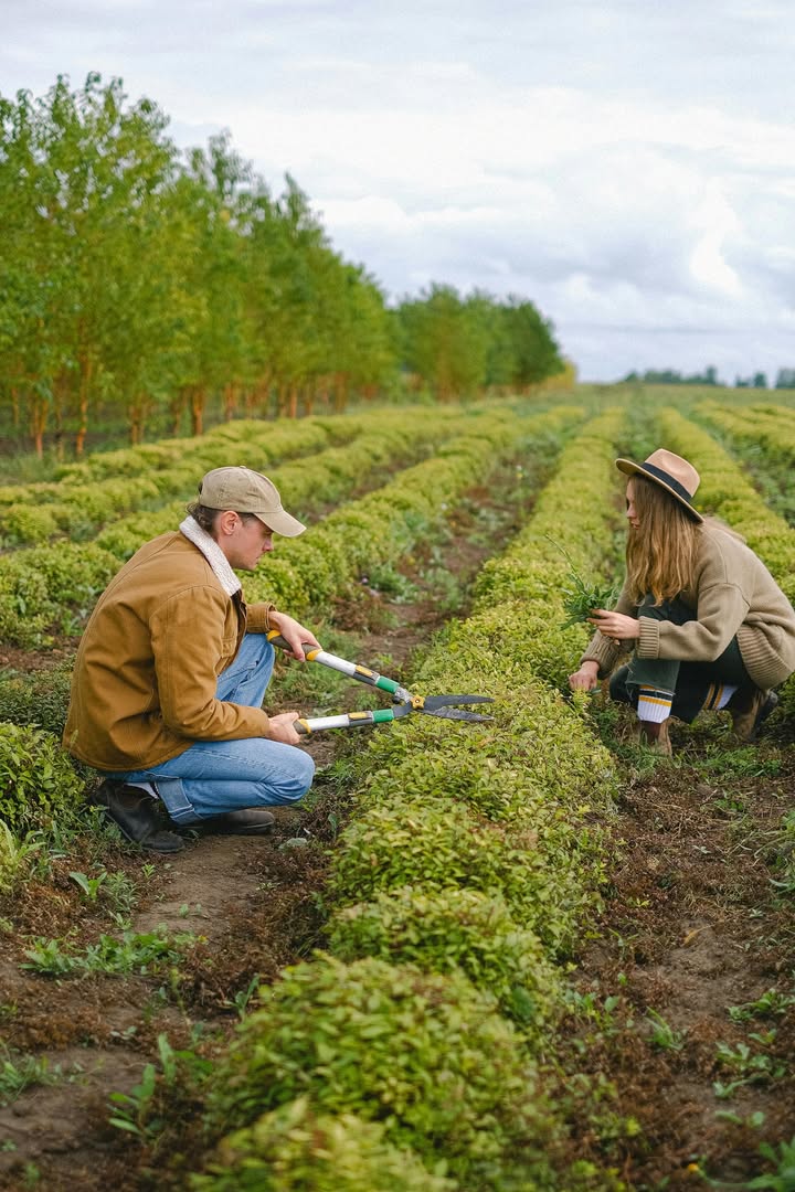Pareja trabajando en una parcela agrícola en El Bierzo