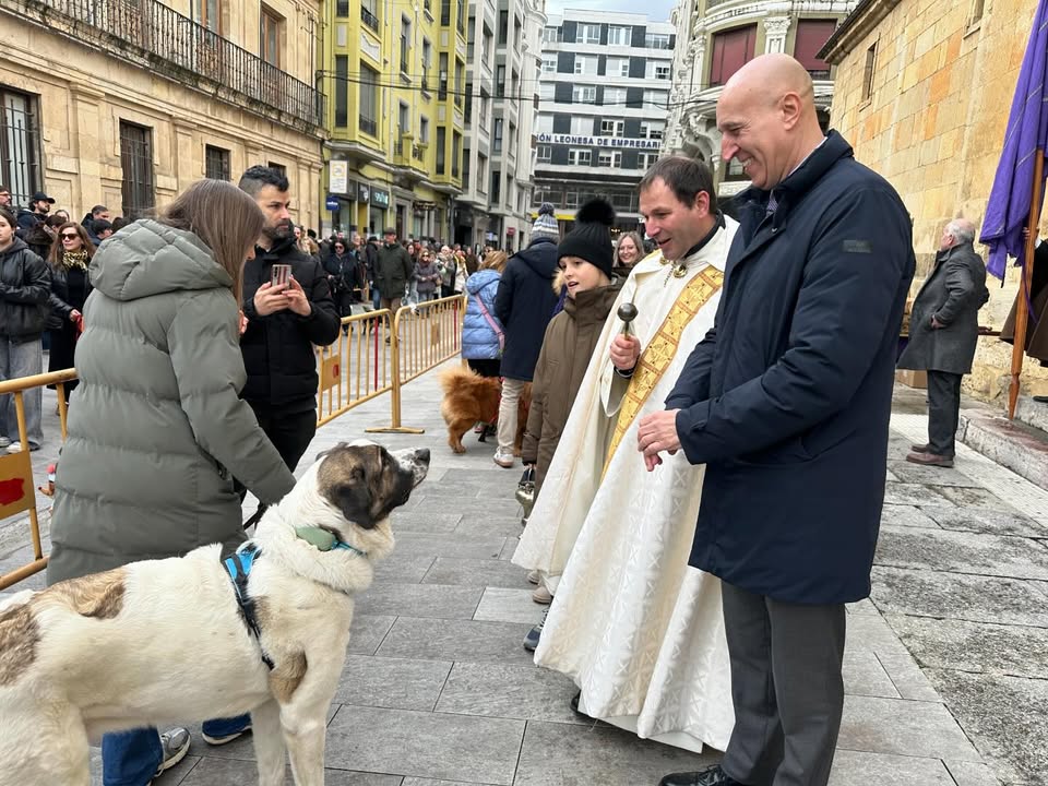 Celebración de la fiesta de San Antón con bendición de animales en León