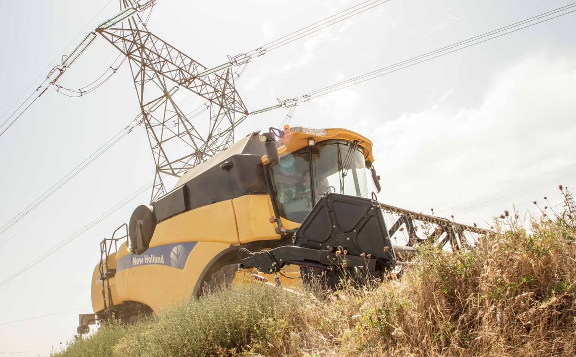 Cosechadora amarilla trabajando en un campo con líneas eléctricas