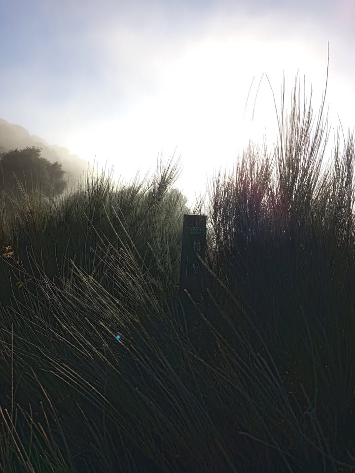 Ruta de los Pozos en Villafranca del Bierzo con vegetación densa