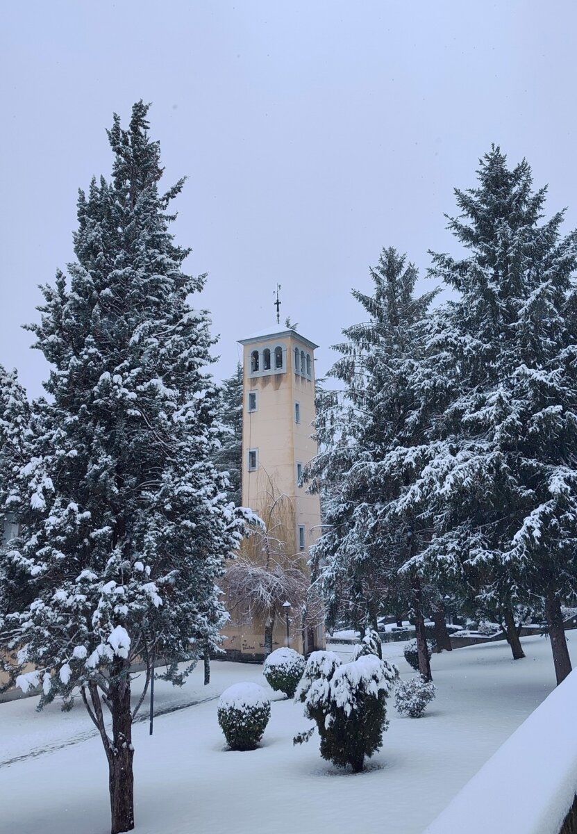 Vista invernal del Valle de Laciana con nieve y árboles cubiertos