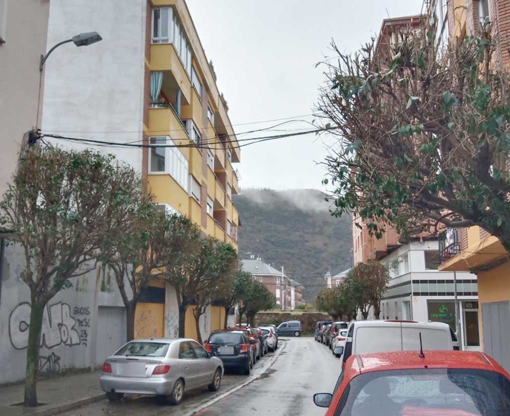 Vista de la calle Batalla de Otumba con árboles podados y vehículos estacionados.