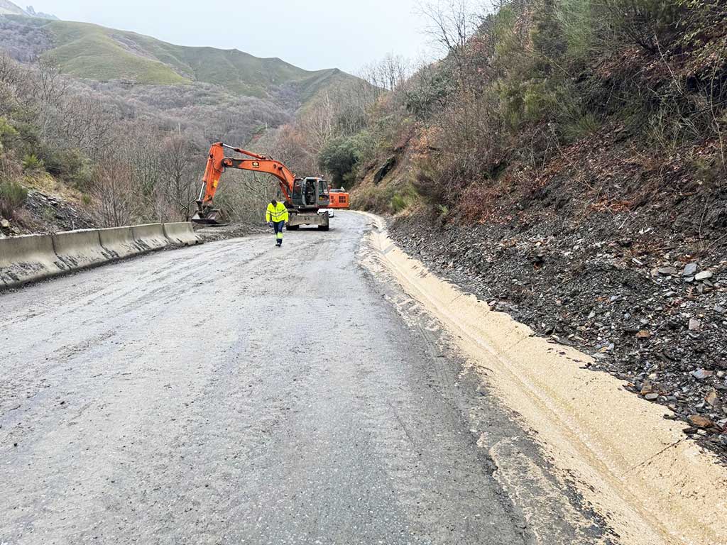 Trabajos de limpieza en la carretera de Peñalba de Santiago