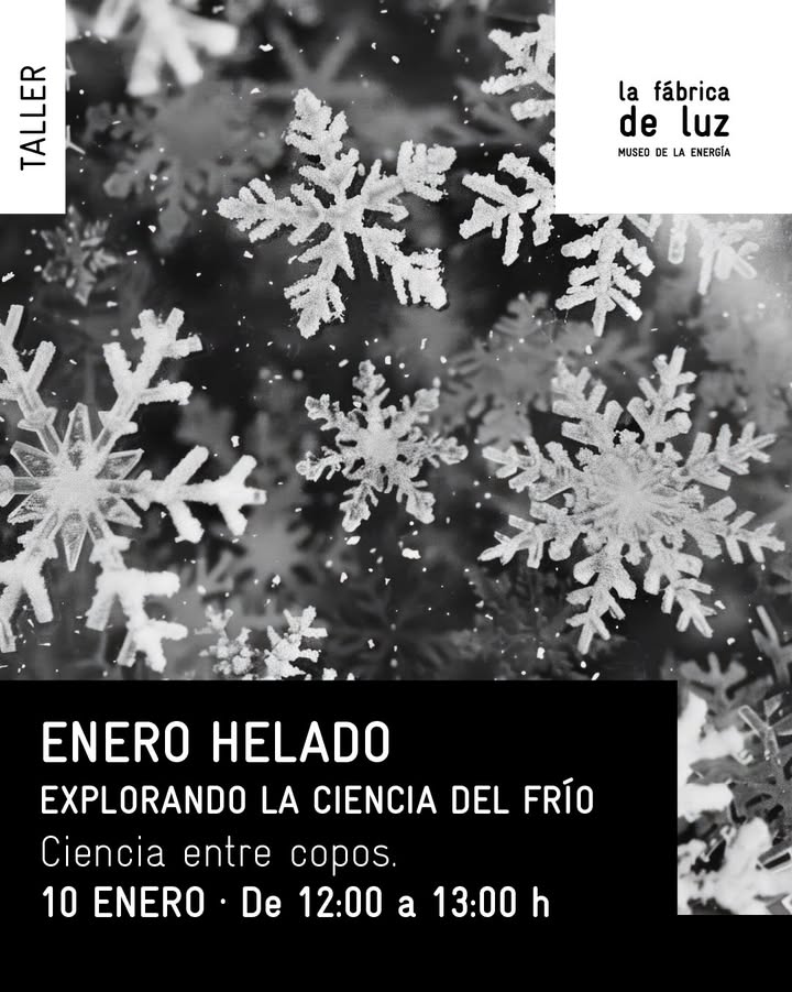 Copos de nieve en un fondo helado para el taller familiar en el museo