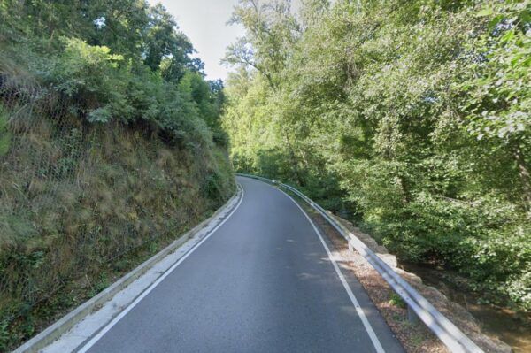 Carretera de acceso a Carracedo de Compludo rodeada de vegetación
