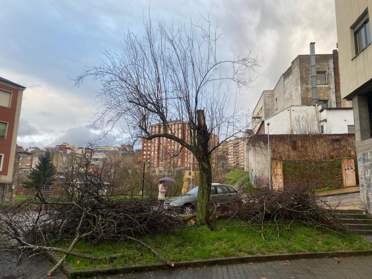 Daños en un vehículo por ramas caídas en Ponferrada debido al viento