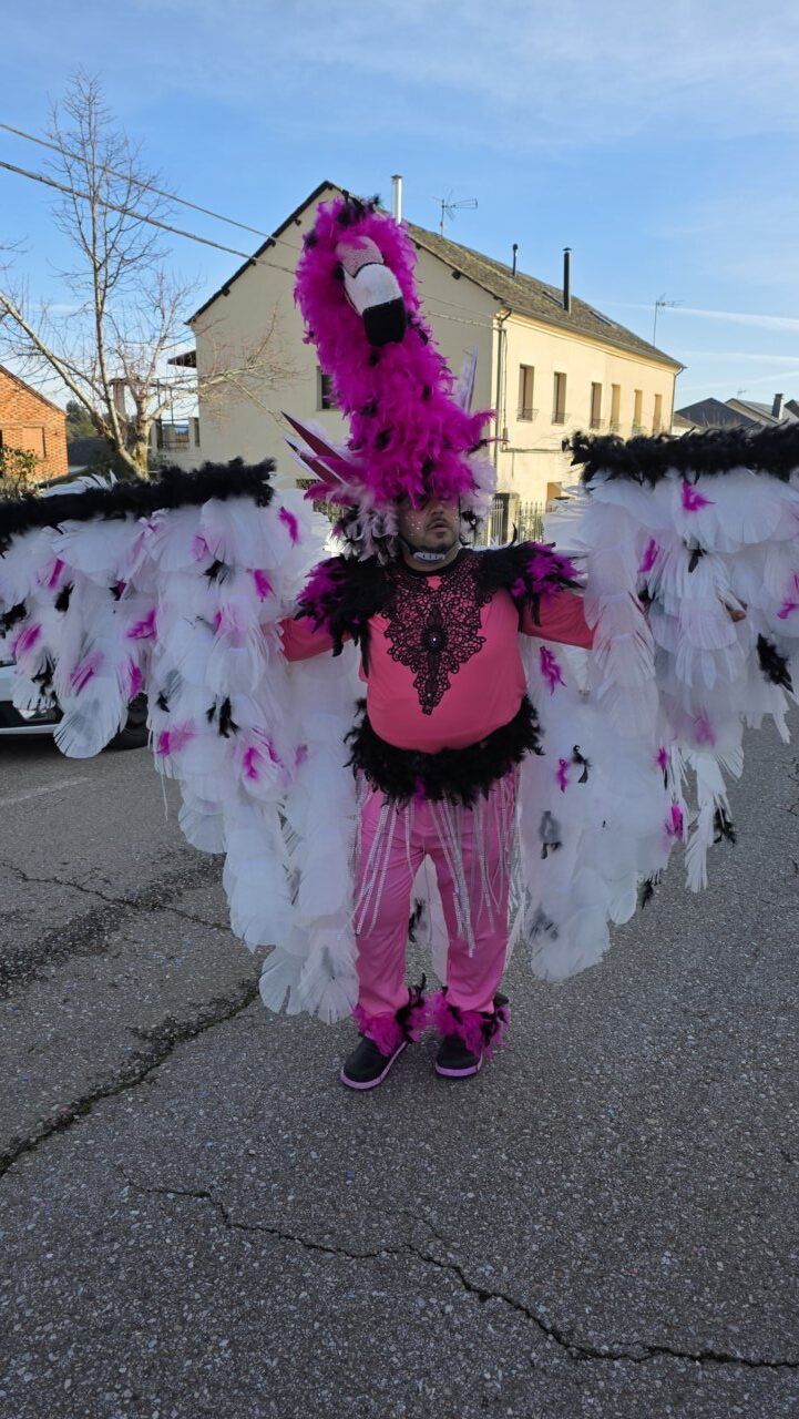 Persona disfrazada de ave en el Carnaval de Arganza