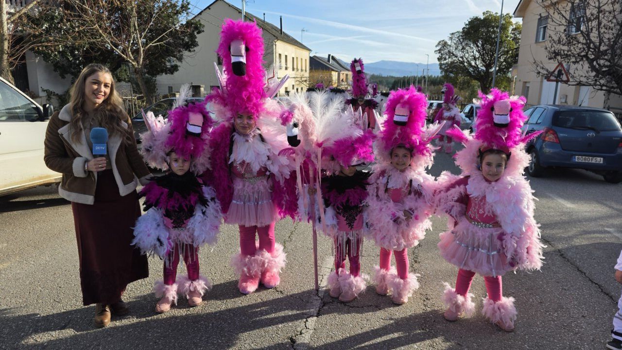 Niños disfrazados de flamencos en el carnaval de Arganza