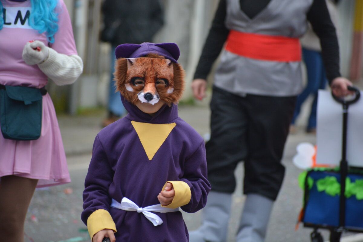 Niño disfrazado de zorro en el carnaval de Camponaraya