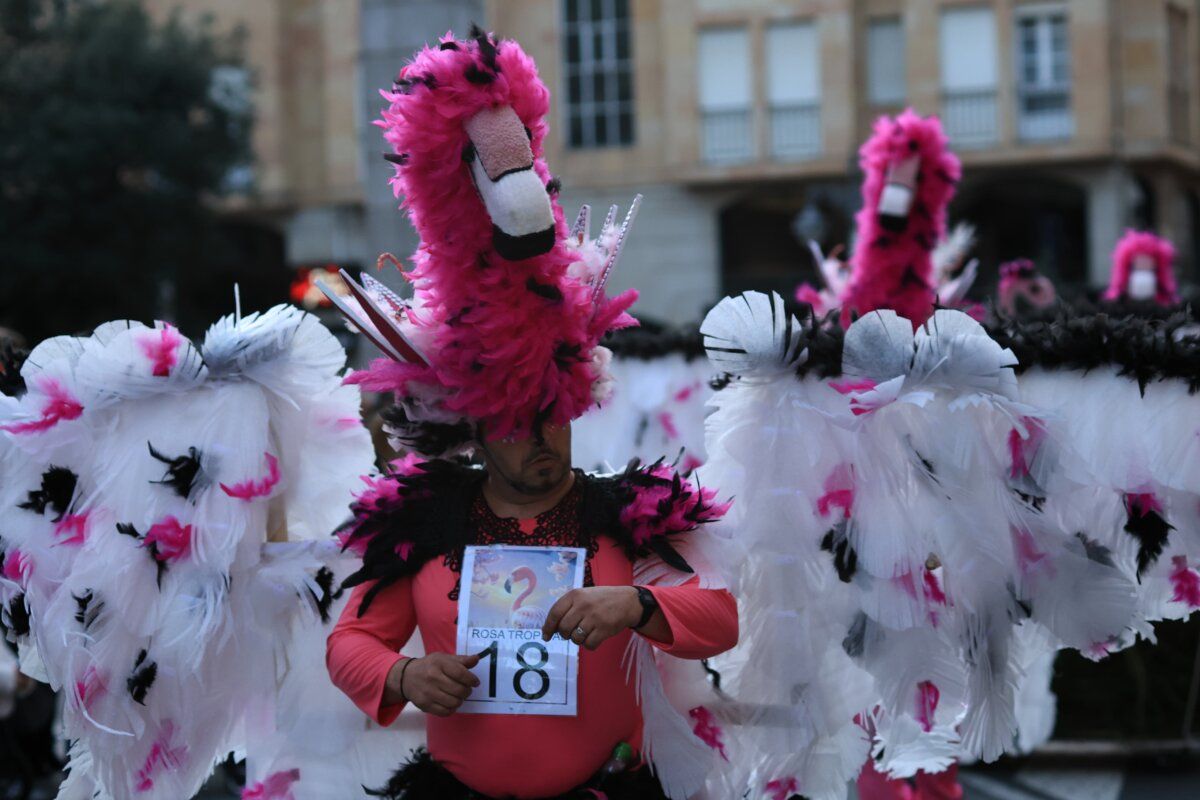 Participante del desfile de Carnaval en Ponferrada con disfraz colorido