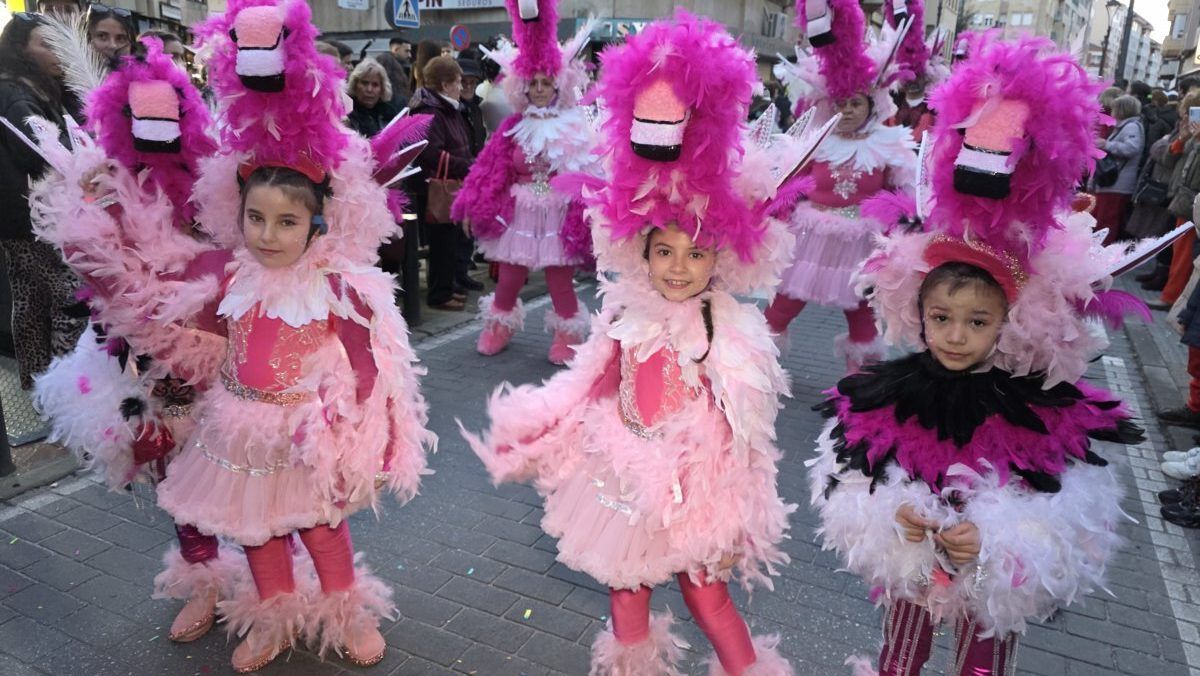 Niñas disfrazadas de flamencos en el carnaval de Ponferrada