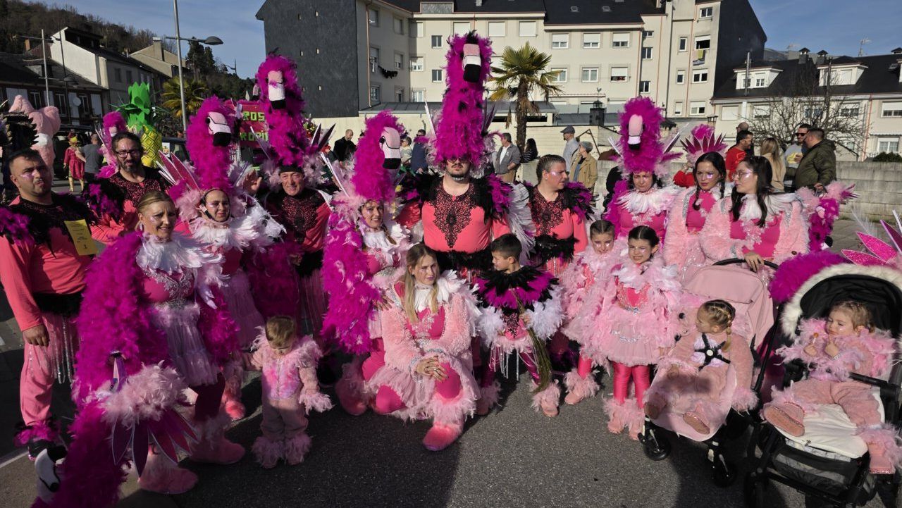 Grupo de personas disfrazadas en el Carnaval de Toreno 2026