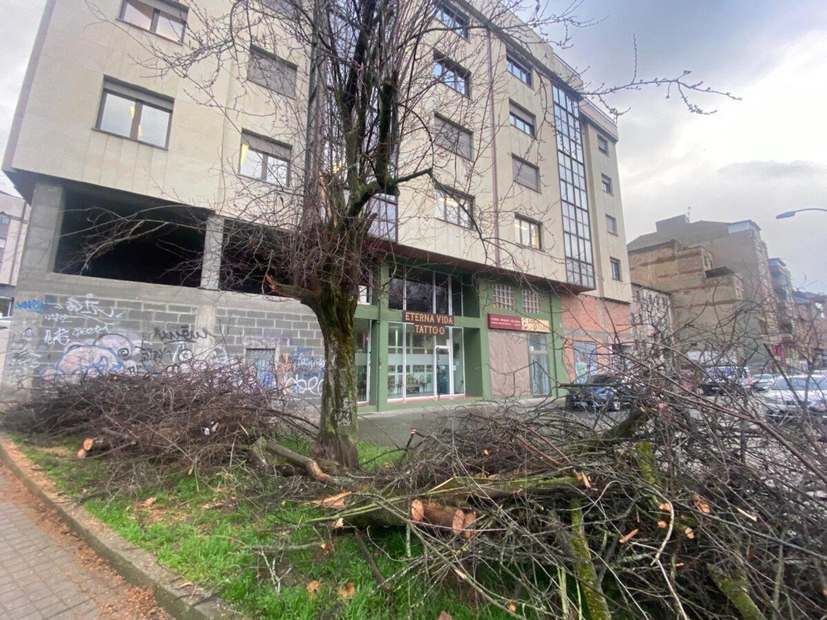 Ramas caídas sobre un vehículo en Ponferrada tras fuerte viento