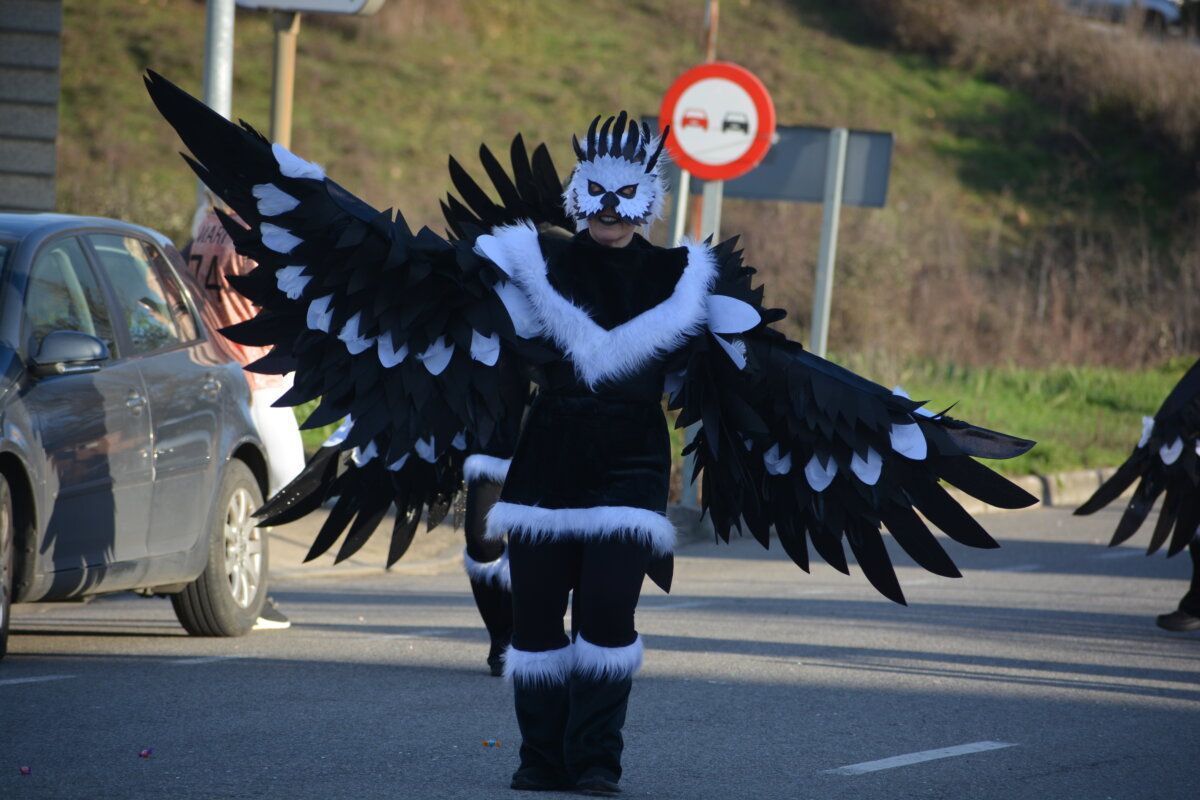 Persona disfrazada con alas grandes en el desfile de Carnaval en Cacabelos
