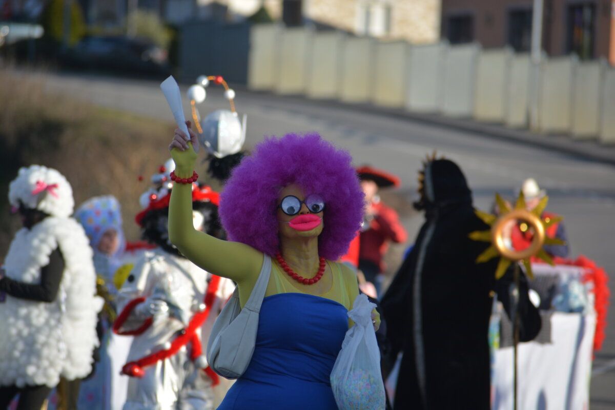 Persona disfrazada con peluca rosa en desfile de carnaval