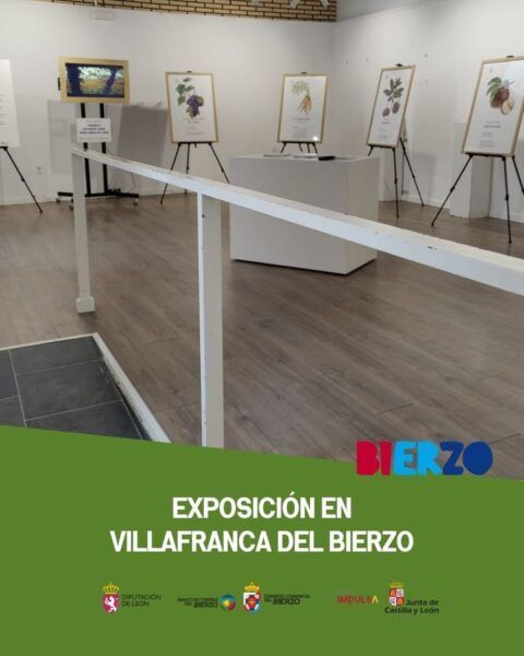 Sala de exposición con productos locales en Villafranca del Bierzo