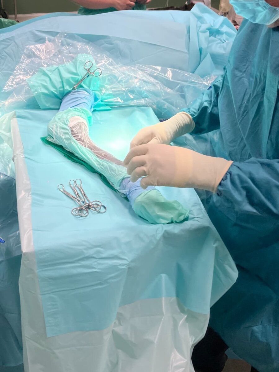 Veterinario realizando una cirugía a un burro en un hospital