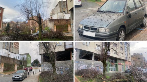 Daños en un vehículo por ramas caídas en Ponferrada