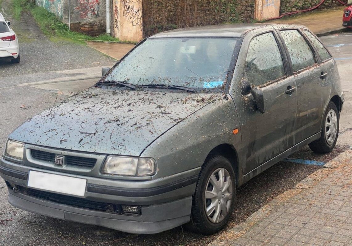 Vehículo dañado por ramas caídas debido al viento en Ponferrada