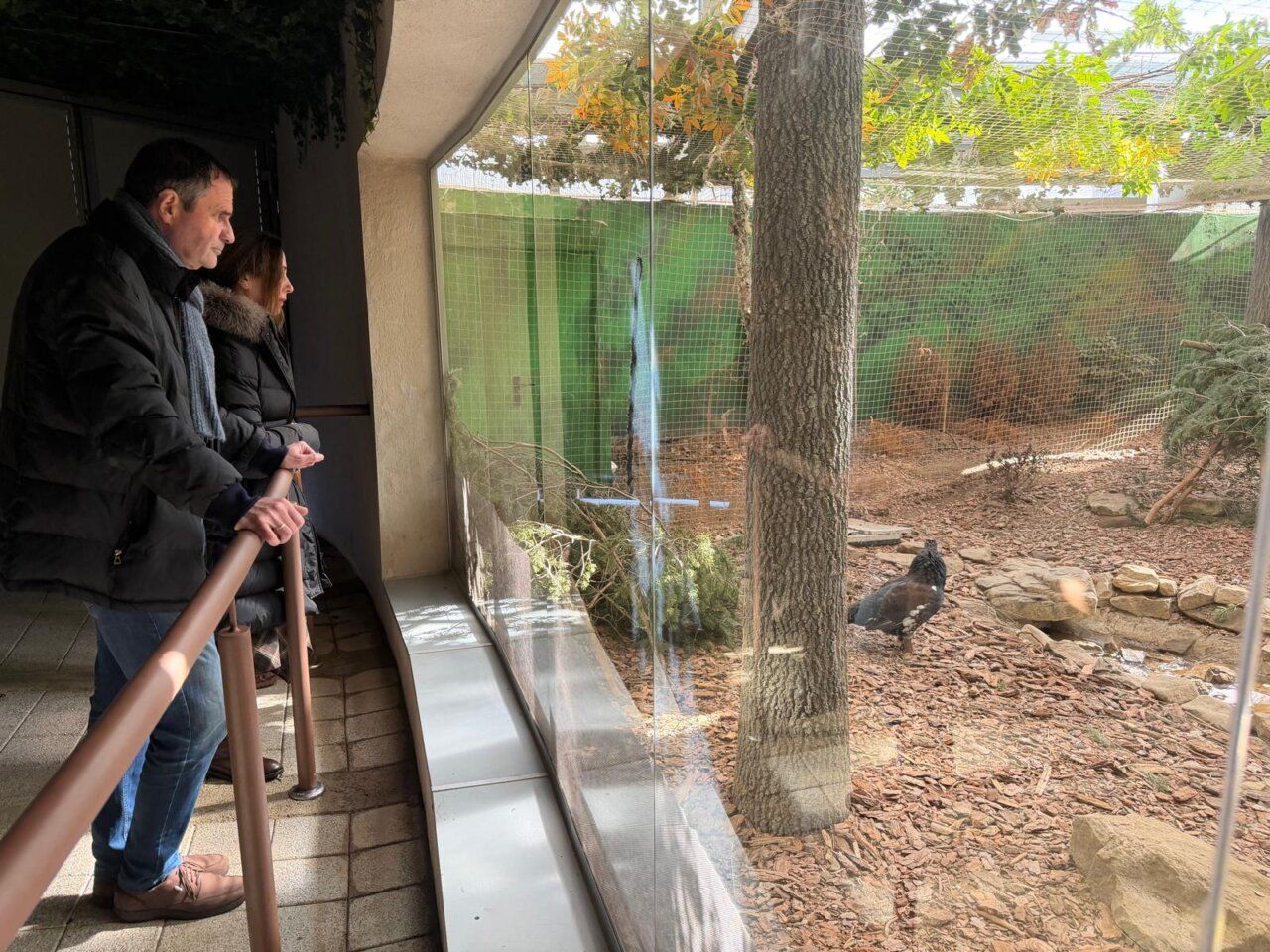 Personas observando el voladero del urogallo en un zoológico