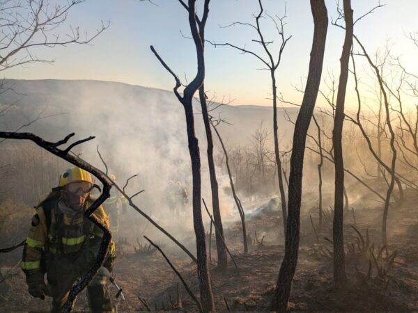 Bomberos trabajando en un incendio forestal en Igüeña con humo y árboles quemados