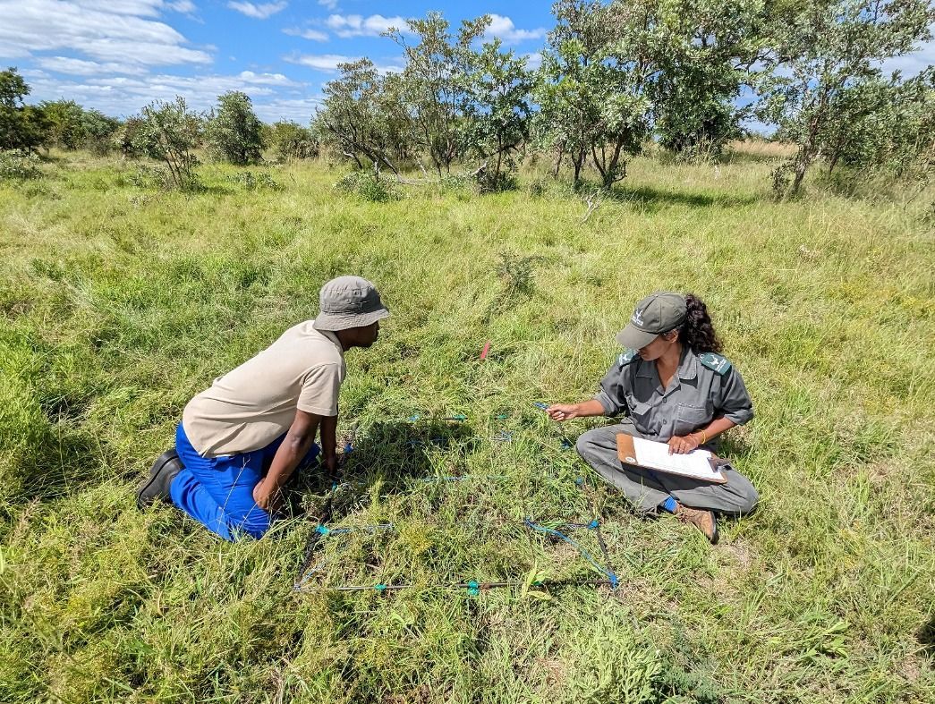 Investigadores trabajando en un estudio sobre biodiversidad en África