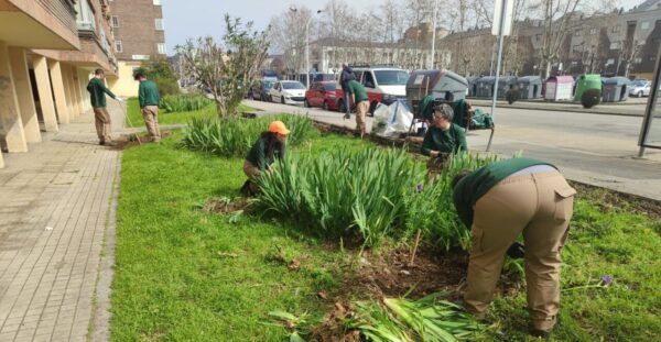 Trabajadores realizando labores de jardinería en Miravalles, Ponferrada.
