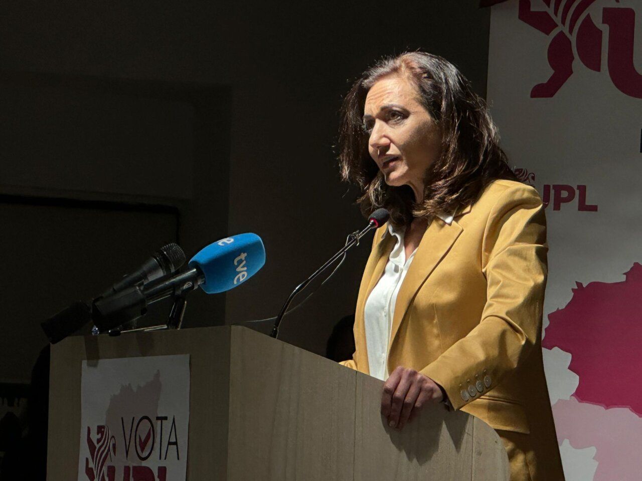 Alicia Gallego hablando en un mitin de campaña electoral