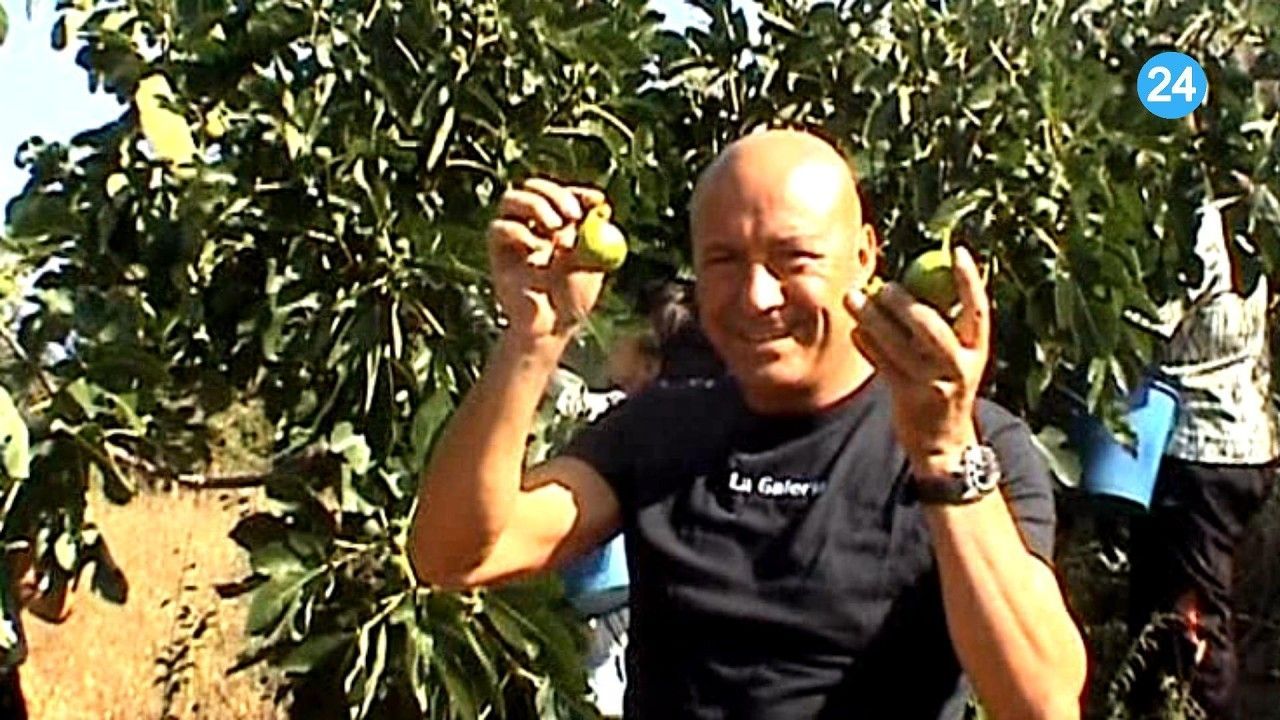 Hombre sosteniendo limones en un árbol en Semana Santa
