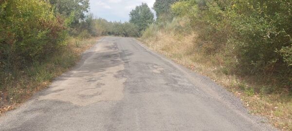 Carretera en mal estado en el municipio de Castropodame rodeada de vegetación