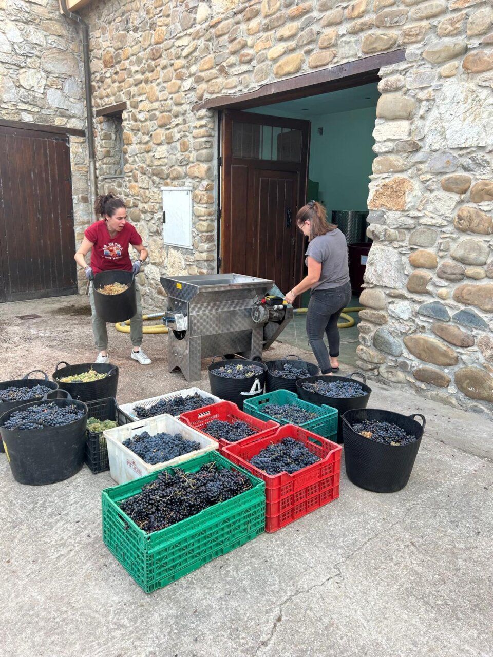 Mujeres trabajando en la elaboración del vino en Corullón