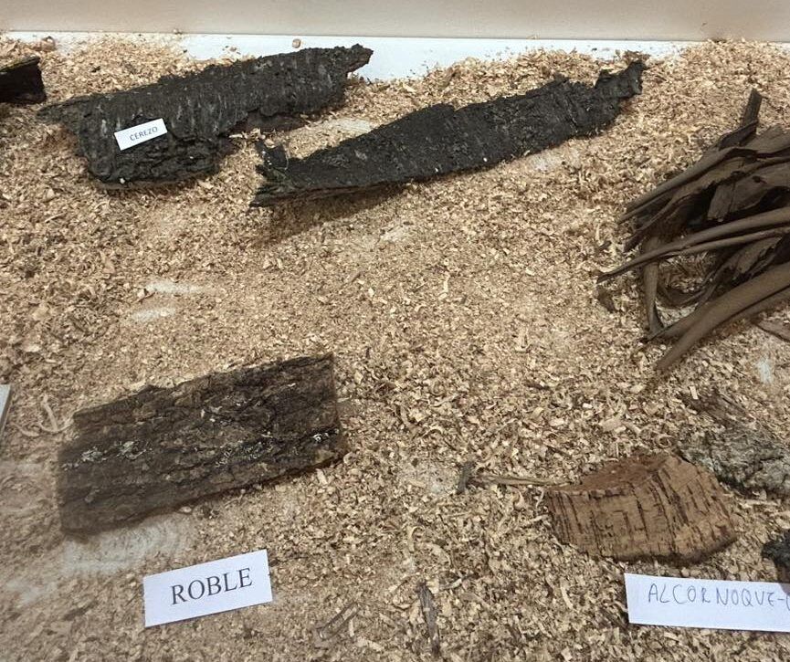 Muestra de diferentes tipos de madera en la exposición de Samuel Núñez