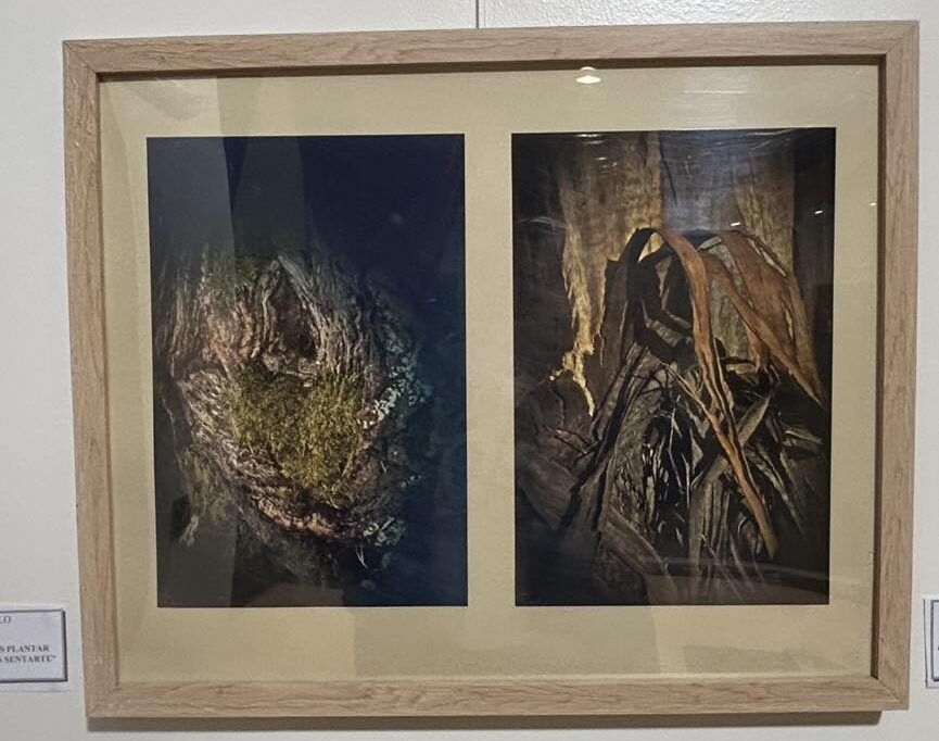Fotografía de la exposición de Samuel Núñez en Arganza