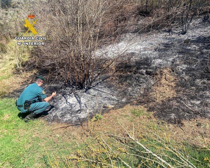 Agente de la Guardia Civil inspeccionando el área afectada por un incendio forestal en Igüeña.