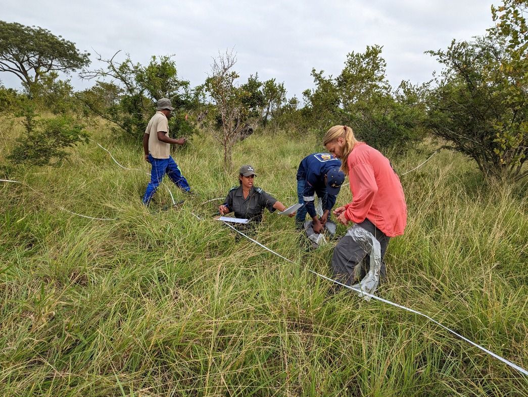 Investigadores trabajando en un estudio sobre incendios y biodiversidad en África