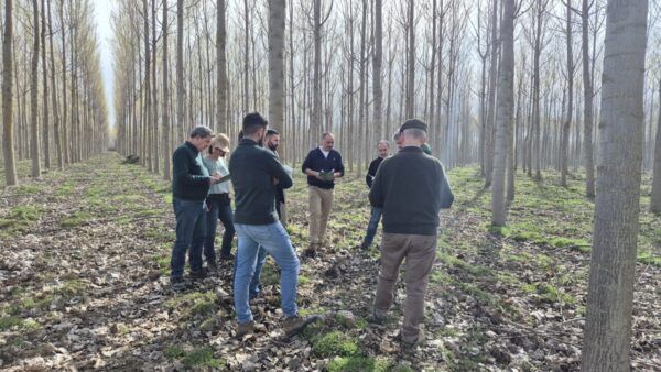 Grupo de personas discutiendo en un vivero de chopos