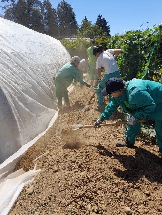 Grupo de personas trabajando en el Monte San Isidro con herramientas de jardinería.